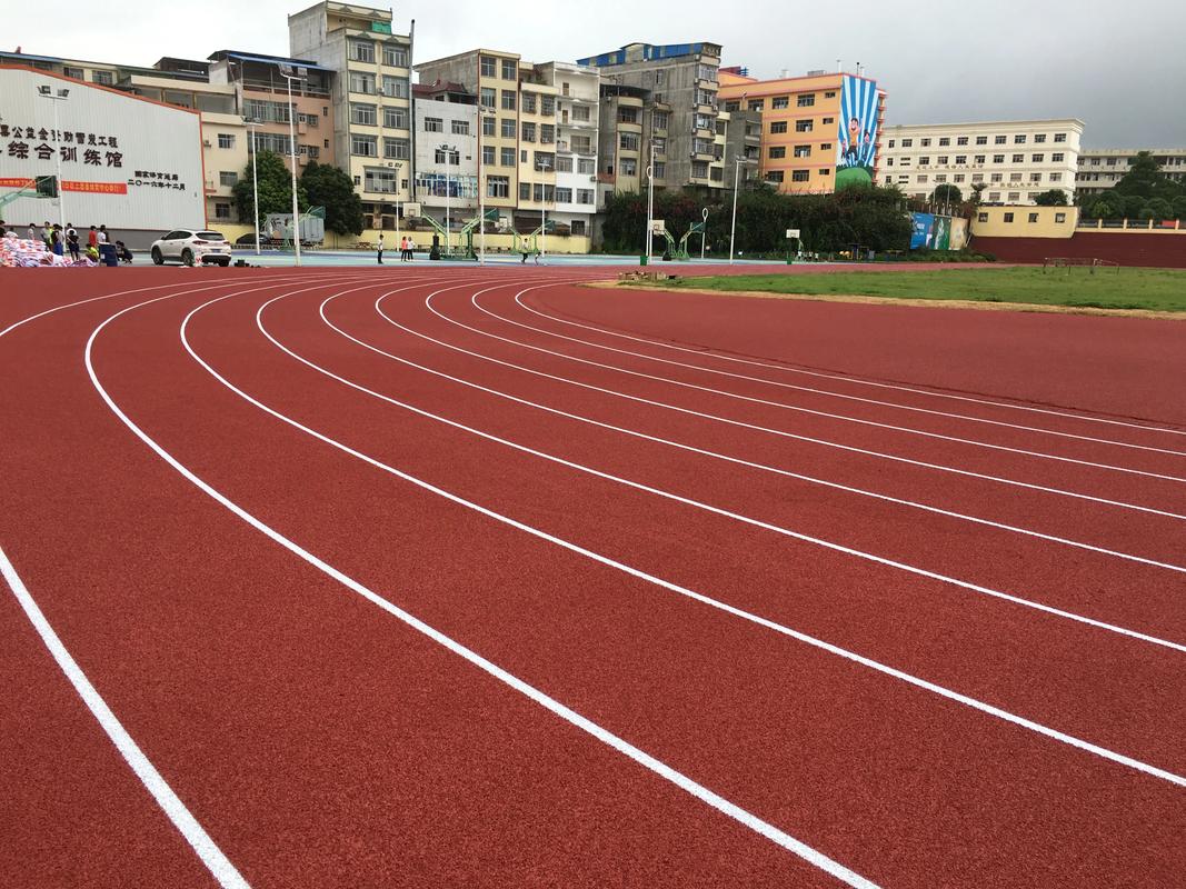 阿里地区硅PU材料塑胶跑道材料 - 排名